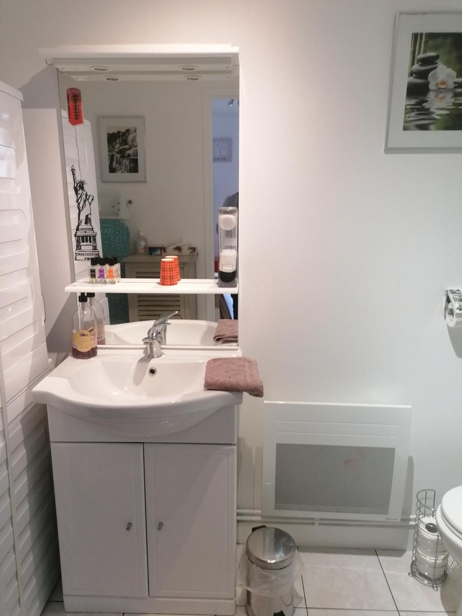 Le Petit Chalet -Appartement Proche De La Vieille Ville , Du Centre Ville Et Du Tram- Petit Dejeuner Offert ルマン エクステリア 写真